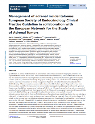 Management of adrenal incidentalomas: European Society of Endocrinology Clinical Practice Guideline in collaboration with the European Network for the Study of Adrenal Tumors